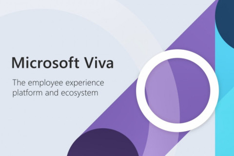 Microsoft Viva – новая платформа для вовлечения и взаимодействия сотрудников